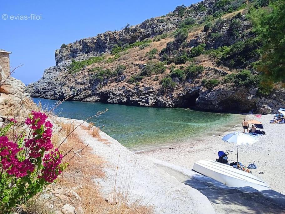 TsakeiΠαραθαλασσιο Σπιτι Στην Εξοχη别墅 外观 照片