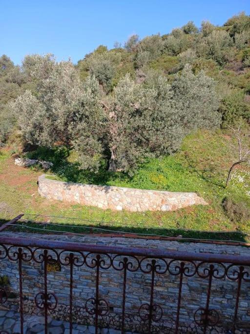 TsakeiΠαραθαλασσιο Σπιτι Στην Εξοχη别墅 外观 照片
