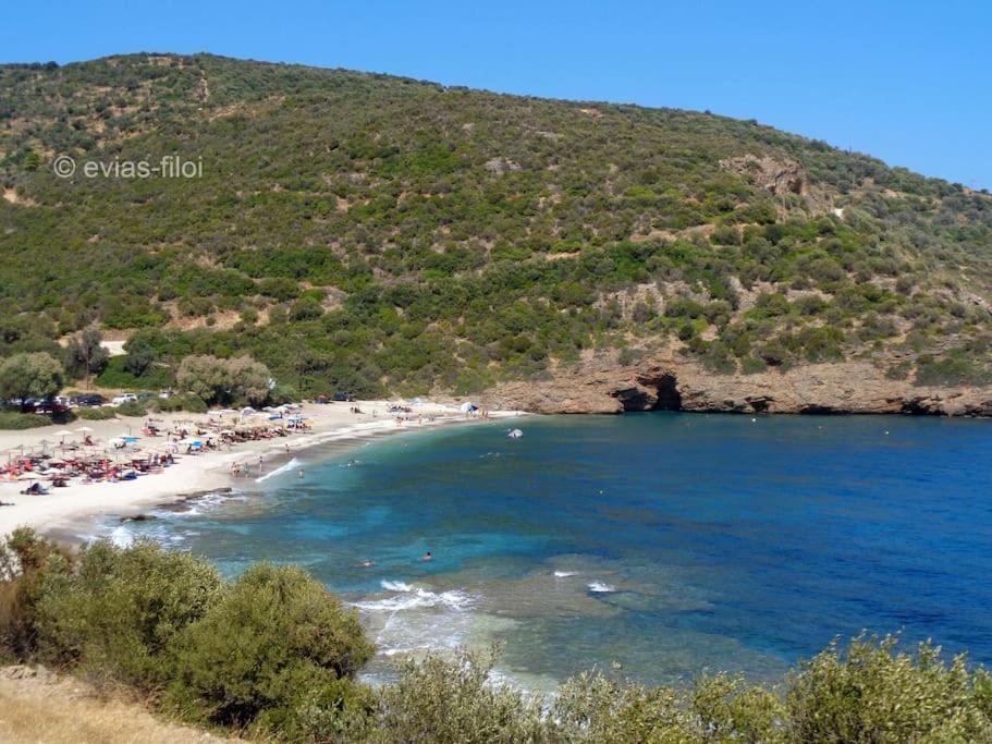 TsakeiΠαραθαλασσιο Σπιτι Στην Εξοχη别墅 外观 照片